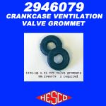 Crankcase Ventilation Valve Grommet #2946079
